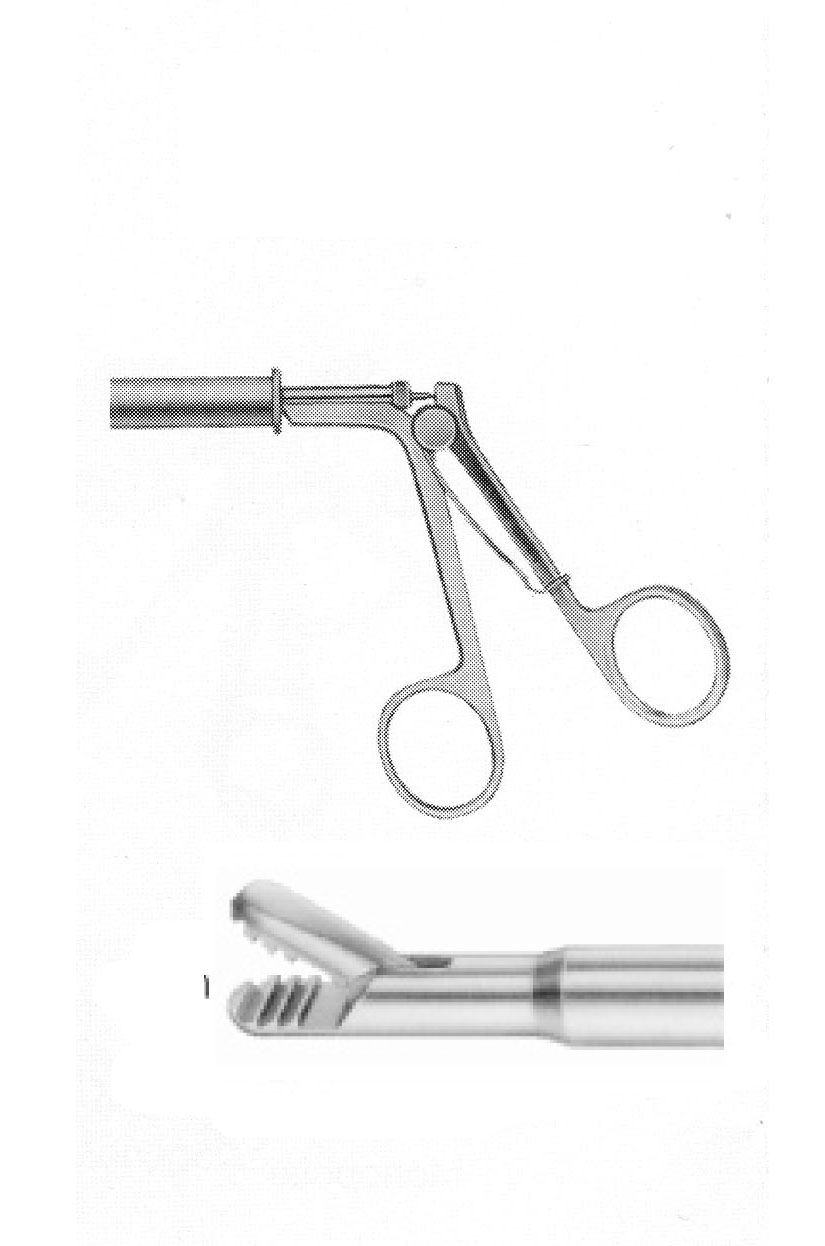 BÜYÜK PİKE AĞIZ FORSEPS ÇAP  10 MM